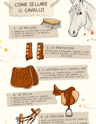 Infografica sellare cavallo